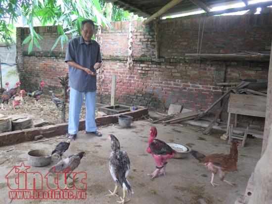 Nghị lực của người cựu chiến binh thành cổ Quảng Trị ảnh 2